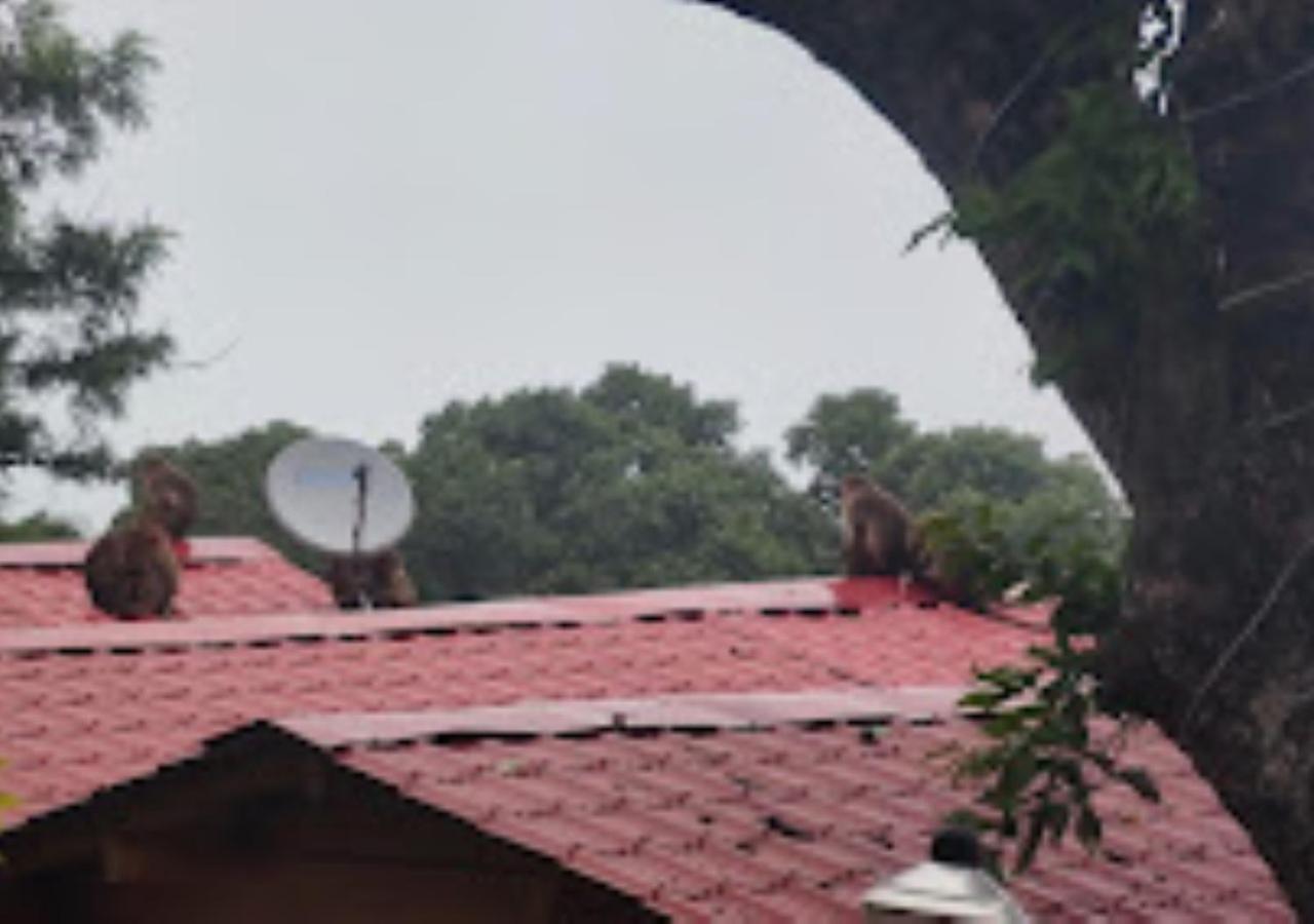 Kaas Woods Resort Yavateshwar Satara Ngoại thất bức ảnh